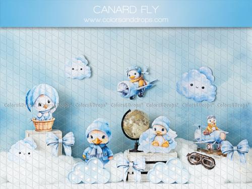 canard-fly