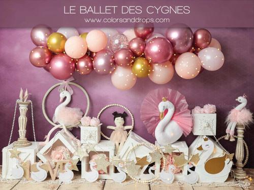 le-balet-des-cygnes