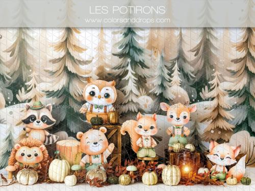 les-potirons