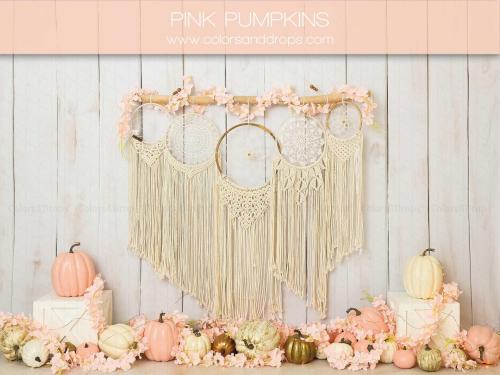 pink-pumpkins