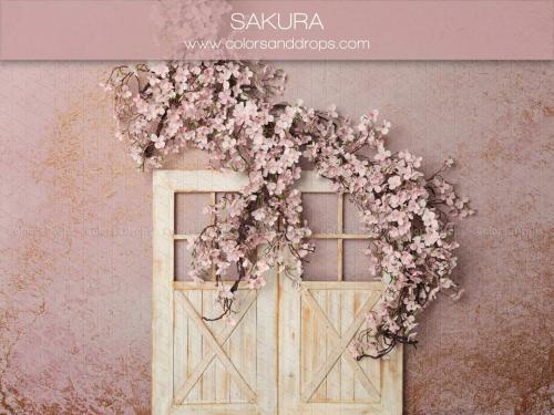 sakura - Copie