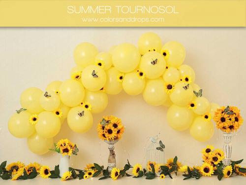 summer-tournosol