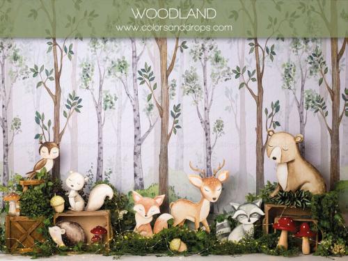woodland - Copie